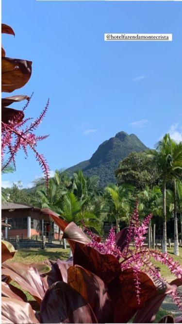 Hotel Fazenda Monte Crista Rio Bonito  Exterior photo